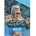 SEGA Two Point Hospital Bigfoot DLC (PC)
