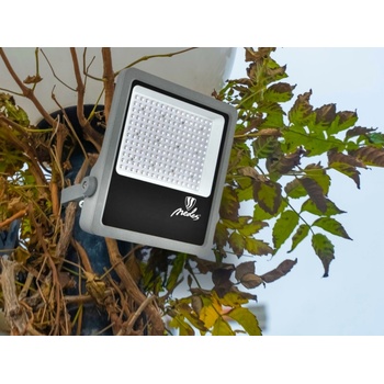 NEDES LF4026S
