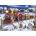 Bluebird Puzzle - Puzzle Santa Express Usa - 500 piese