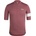 Rapha Rapha Core Rose brown/White pánsky