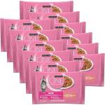 PURINA ONE JUNIOR мултипакет 48 x 85 г