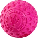 Kiwi Walker Plávajúca loptička z TPR peny ružová 9 cm