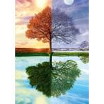 Schmidt Spiele - Puzzle The seasons tree - 500 piese