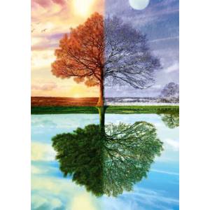 Schmidt Spiele - Puzzle The seasons tree - 500 piese