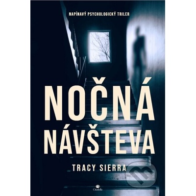 Nočná návšteva - Tracy Sierra