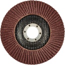 Graphite Kotouč lamelový 125 x 22,2 mm K80 55H989