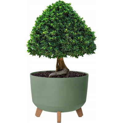Prosperplast Květináč 33,9 x 33,9 x 24 cm plast zelený