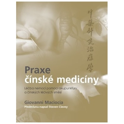 Praktiky čínské medicíny - Giovanni Maciocia CAc