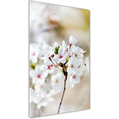 Vertikálny foto obraz sklo tvrdené Kvety višne 50x100 cm