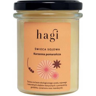 HAGI Kořeněný Pomeranč 215 ml