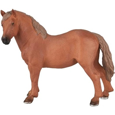 Mojo Моята Suffolk punch кобила