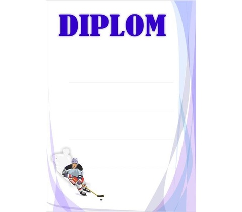 diplom 08 hokej