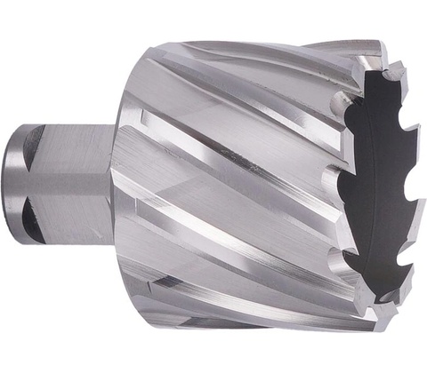 ABSE N-HS-W19-0420025