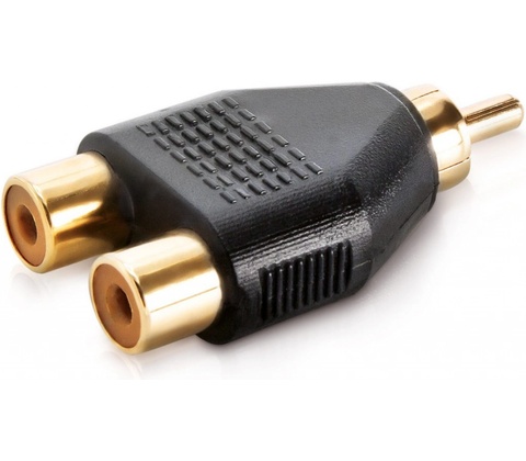 Sinus Live Y1M