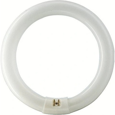 Philips Master TL-E 32W G10q Circular chladná bílá