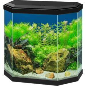 Ciano Аквариум Ciano Aqua 30 - черен (7420)