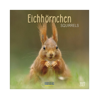 Eichhörnchen 2027
