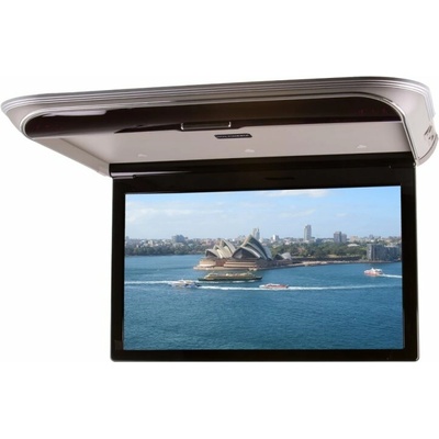 Stualarm DS-195AC
