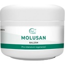 Karel Hadek Molusan balzám na molusky 50 ml