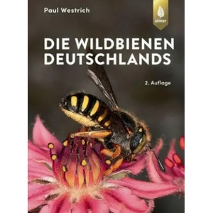 Die Wildbienen Deutschlands | Paul Westrich (ISBN: 9783818608804)