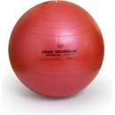 Gymnastické míče Sissel Securemax 65 cm