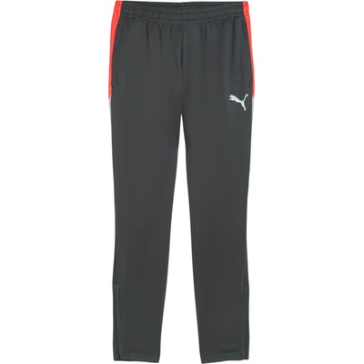 Puma individualLIGA Training 659517-10