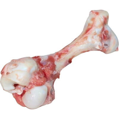 Masožravci Hovězí morková kost 1 ks