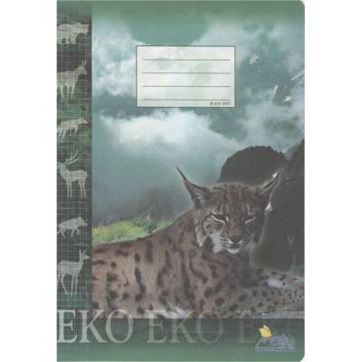 EKO NOTES Zošit 425 štvorčekový