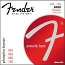 Fender 8060