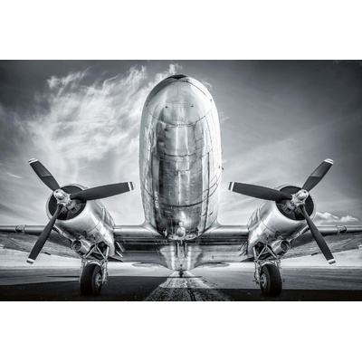 DIMEX ART Флизелинов фототапет исторически самолет 375 x 250 см