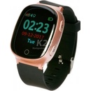 Garett GPS3