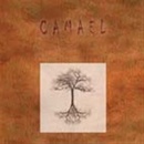 CAMAEL: DO SKOKU CD