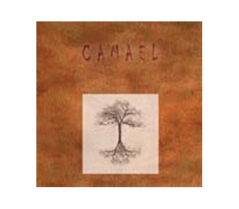 CAMAEL: DO SKOKU CD