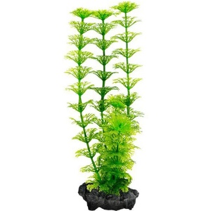 TETRA Limnophila sessiliflora (Ambulia) - растение Тетра 30 см