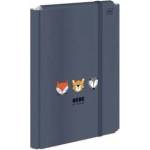 Interdruk Cardboard briefcase for elastic FRIENDS BOYS A4+ 5902277328762 A4+ mix Bebe (with eraser)