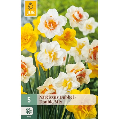 850435/7503 Narcisy plnokvěté směs 5ks