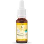 Lemon Pharma Red Chestnut Цветна есенция N°25, 20 ml, Lemon Pharma (181250 LP)