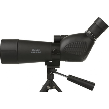 Dörr LUCHS 20-60x60