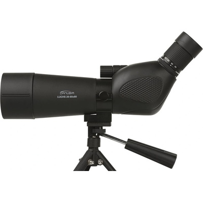 Dörr LUCHS 20-60x60