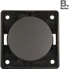 Berker 321/255