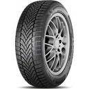 Osobní pneumatiky Falken Eurowinter HS02 195/65 R15 91H