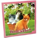 Mikro trading Koťátka