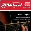 DAddario EFT17