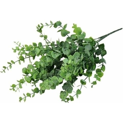 Eukalypt keřík 32-30B, cena za 3ks