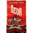 Šedá - Dalibor Vácha