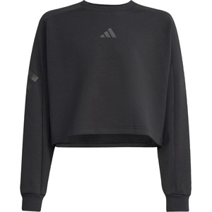 Adidas Детски пуловер adidas Kid's Future Icons 3-Stripes Crew Jumper - Black / Black - размер 152 (EU) (704-6094-0114)