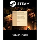 Fallen Mage