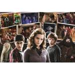Trefl - Puzzle Harry Potter and friends - 160 piese