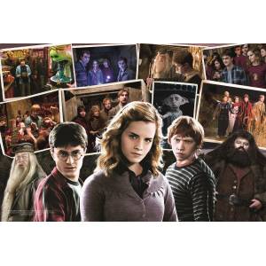 Trefl - Puzzle Harry Potter and friends - 160 piese