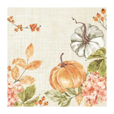 Dunisoft Ubrousek BioSPICY PUMPKIN 60 ks 40x40 cm